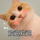 232b0f49316307bcf8da749b2a2f8b7